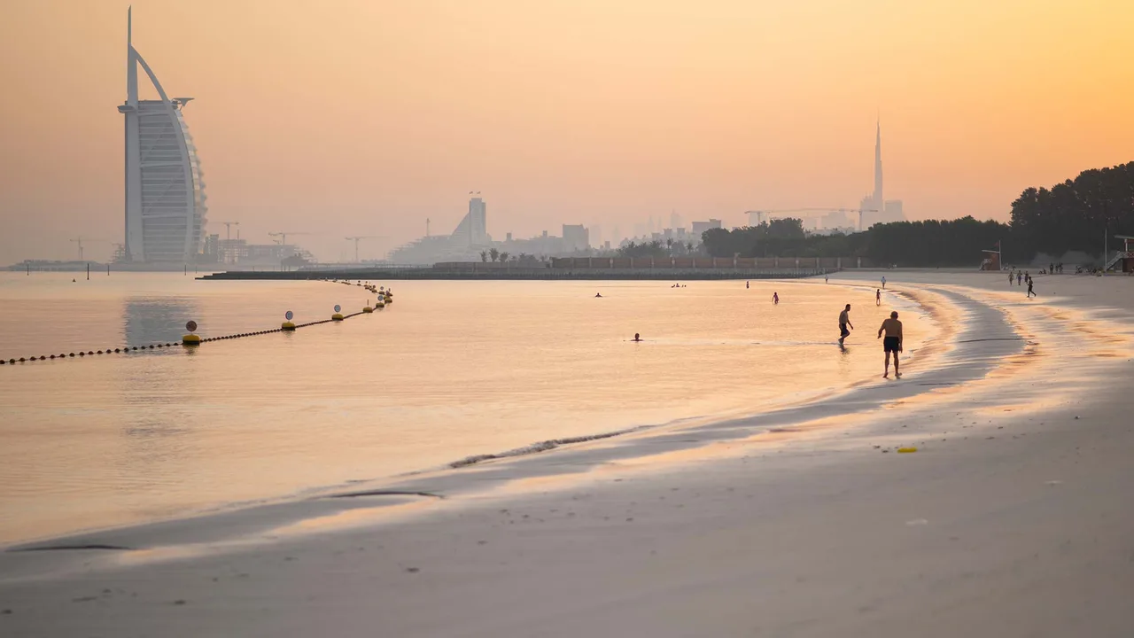 Natural palm-lined shoreline at Secret Beach Dubai with no facilities