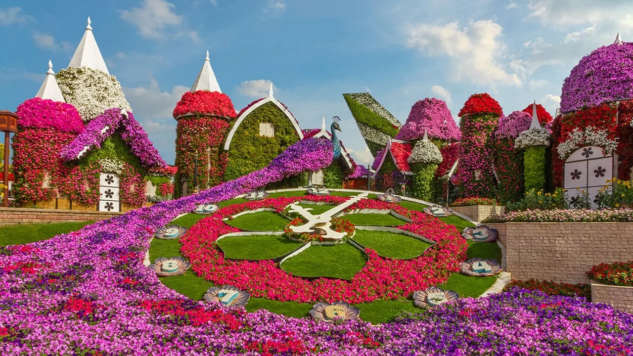Flower-covered structures at Dubai Miracle Garden in full bloom for the new season